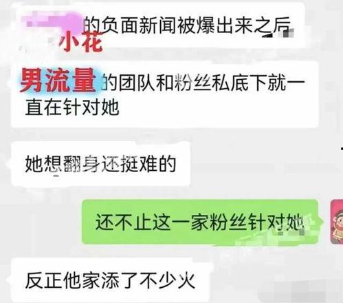 流量男导师吃瓜,揭秘娱乐圈背后的真相