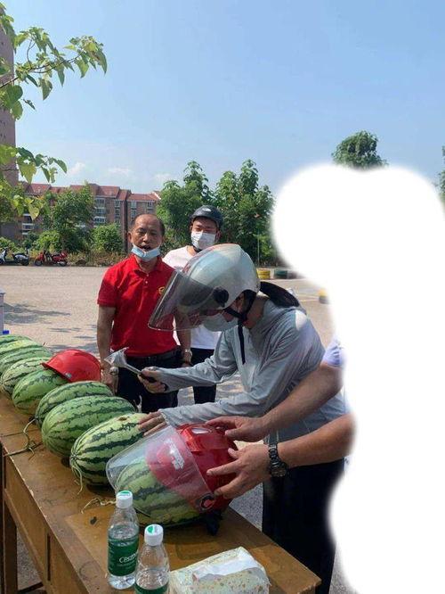 lolol吃瓜事件,揭秘网络舆论背后的真相