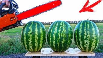 海外吃瓜缅甸,揭秘缅甸的“吃瓜”现象