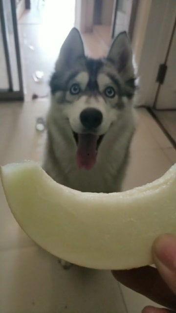 哈吃瓜网,哈吃瓜网带你领略明星幕后故事