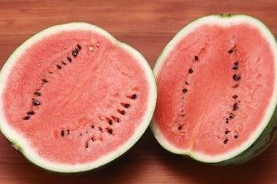 吃瓜情报处小号,带你走进神秘的网络世界