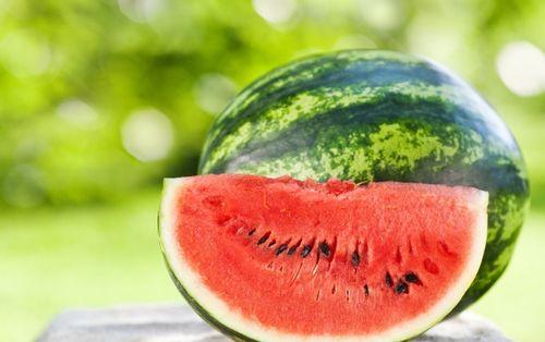 吃瓜情报处小号,带你走进神秘的网络世界