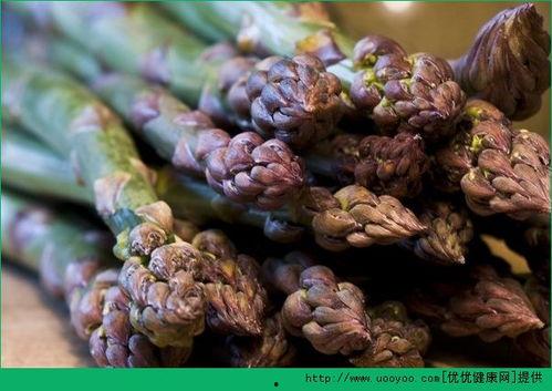 瓜尖可以吃芦笋吗,探索可食用植物的奇妙组合