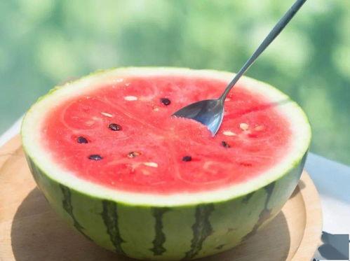 早秋吃瓜指南,揭秘秋季吃瓜指南