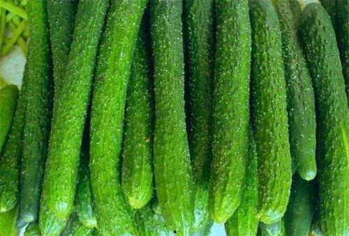 30岁以上吃瓜,揭秘30岁以上人群的娱乐生活