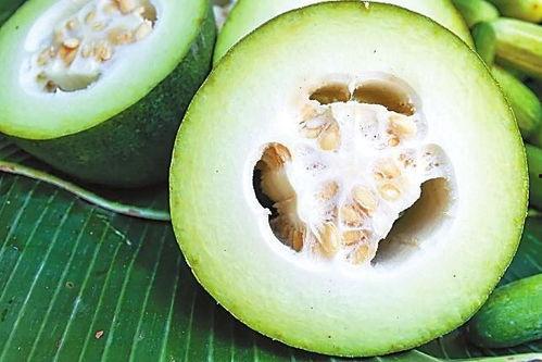 force吃瓜,force吃瓜背后的故事与启示