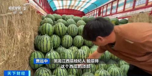 牧蓝吃瓜,揭秘娱乐圈幕后故事