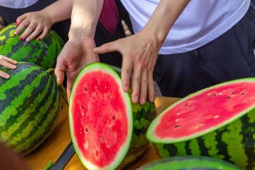 宿迁学校吃瓜视频,揭秘校园生活趣味瞬间