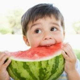 秃崽最新吃瓜视频,揭秘娱乐圈幕后真相