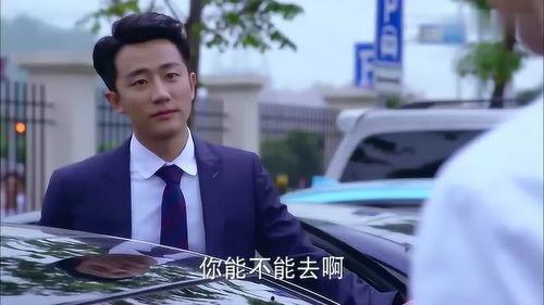 陆家吃瓜，看戏,揭秘娱乐圈背后的故事