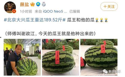 感恩吃瓜的视频,品味生活点滴