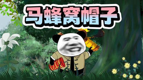 感恩吃瓜的视频,品味生活点滴