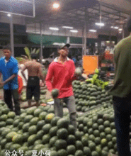 拔河吃瓜图片搞笑,吃瓜群众欢乐无限