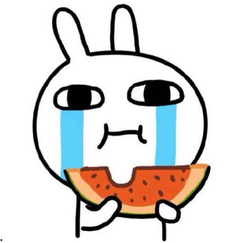 吃瓜qq 秃崽,吃瓜QQ背后的神秘故事