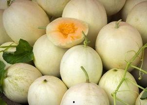 吃白兰瓜会过敏吗,食用需谨慎