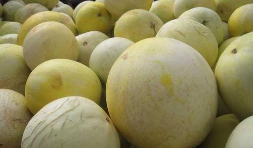 吃白兰瓜会过敏吗,食用需谨慎