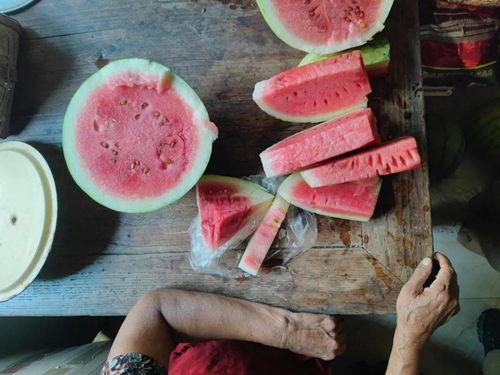 没有吃瓜怎么办,如何度过清凉一夏？