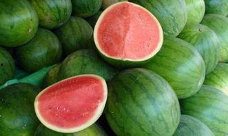 没有吃瓜怎么办,如何度过清凉一夏？