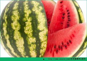 这瓜不保熟每日吃瓜,跟随“这瓜不保熟”的节奏，畅享瓜界盛宴