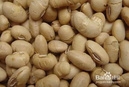 深秋吃瓜小说,一场穿越时空的甜蜜邂逅