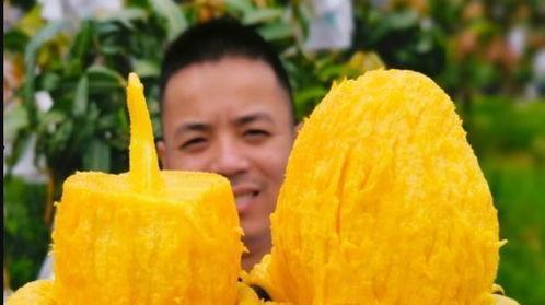 月亮组吃瓜怎么吃,轻松解锁美味新姿势