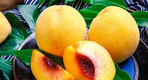 月亮组吃瓜怎么吃,轻松解锁美味新姿势