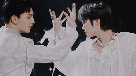 吃瓜博主小刘,揭秘娱乐圈那些不为人知的幕后故事