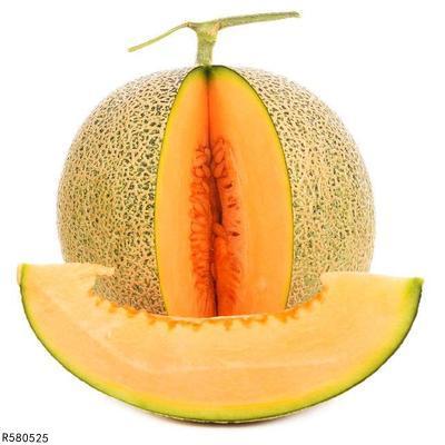 蚊子吃哈密瓜吗,揭秘昆虫的饮食偏好