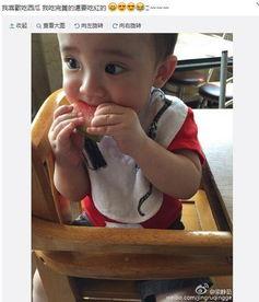 吃瓜围嘴,揭秘娱乐圈背后的秘密与真相