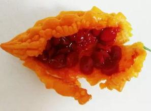 搜狗吃瓜,揭秘网络热点背后的真相与笑料