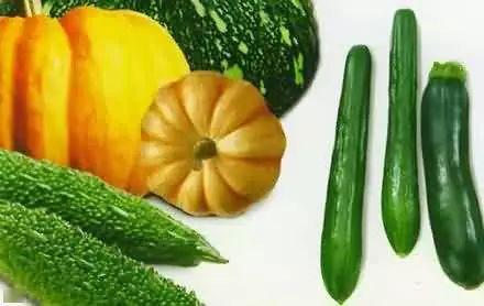 朝圣吃瓜,探寻信仰与瓜果的奇妙交融