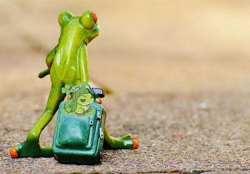 青蛙卖货吃瓜,趣味横生演绎市场奇遇