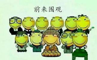 吃瓜群众1124,揭秘吃瓜群众1124背后的热点事件