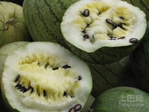 啥时候都吃籽瓜,籽瓜美食之旅