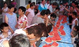 吃瓜大赛怎么组织,一场全民参与的欢乐盛宴组织攻略