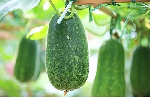 吃瓜不如,揭秘娱乐圈背后的真相