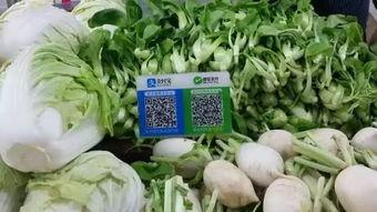 六零山村吃瓜日常,夏日吃瓜日常，品味乡村悠闲时光