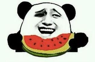 励志吃瓜大帅,逆境中绽放的阳光人生