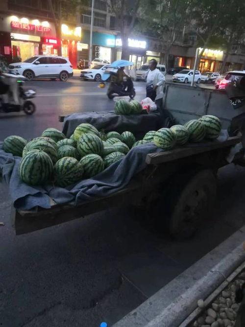 街边看吃瓜,品味人间烟火气