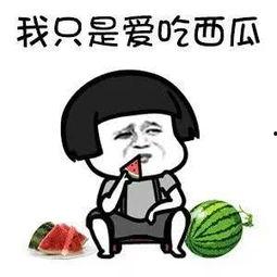 吃瓜带你看世界,吃瓜群众视角下的全球风云变幻