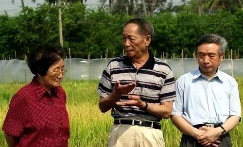 林馨蕊同学吃瓜,揭秘校园里的“瓜田”趣事