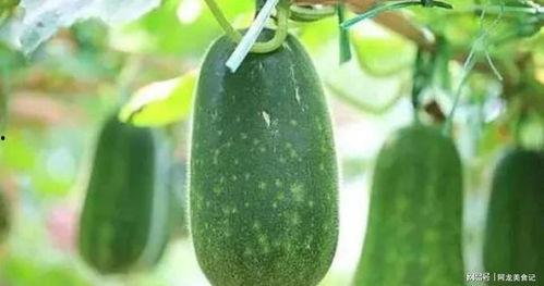 吃瓜5月,盘点娱乐圈热点事件与幕后真相