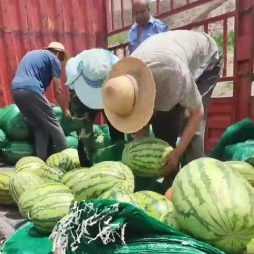 吃瓜单位,一场全民参与的娱乐盛宴