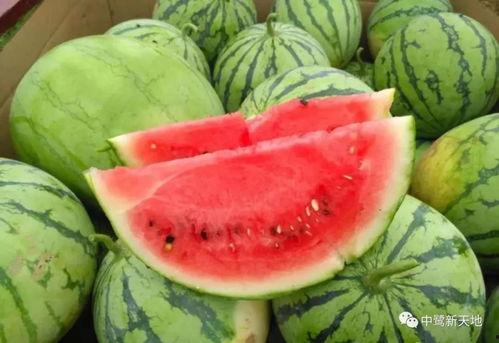 会吃瓜的王,揭秘娱乐圈幕后那些事儿