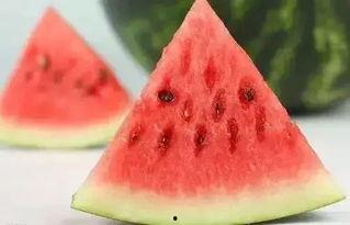 冬天吃瓜图,冬日暖阳下的“冰火两重天”吃瓜记