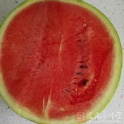 吃瓜感冒,揭秘瓜类食物与感冒的奇妙关系