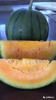 回家吃瓜的照片,揭秘夏日家庭欢乐时光