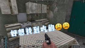 老六吃小瓜,一场舌尖上的美食之旅