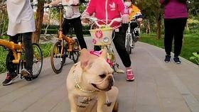 围观吃瓜名场面