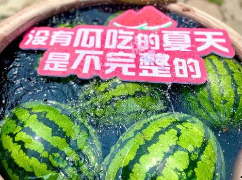 在线吃瓜2024,在线吃瓜，揭秘娱乐圈风云变幻